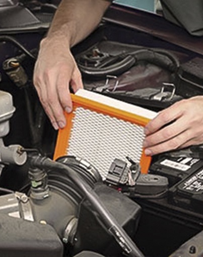 [SERV-CFAM-TD] CAMBIO FILTRO DE AIRE DE MOTOR